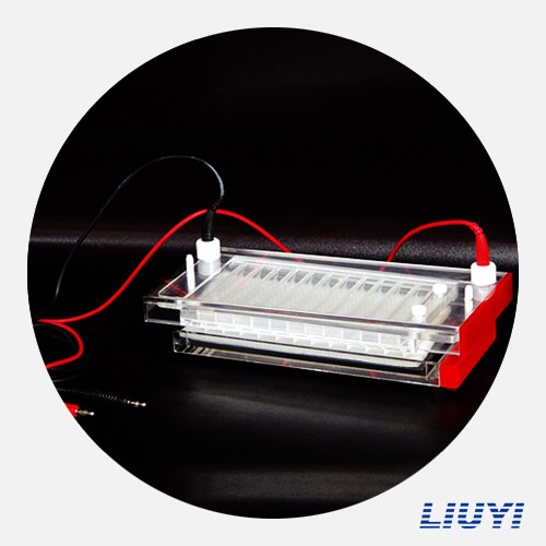 北京六一快速凝膠電泳儀DYCP-44N